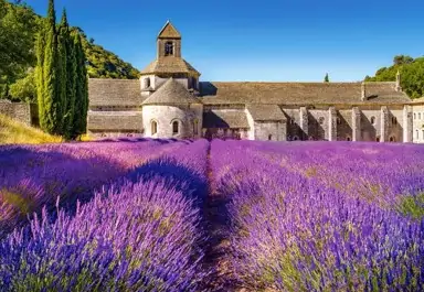 Пъзел 1000 части - Lavender Field in Provence, France - Castorland