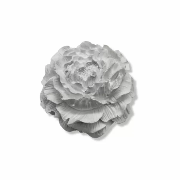 Бяла смола на прах, еднокомпонентна (1000гр) Aqua Resin- Reschimica
