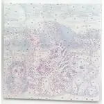 Комплект за рисуване по номера 30x30см, Сафари - Craft Buddy
