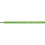 Цветен молив за професионалисти Polychromos 166 Light Green