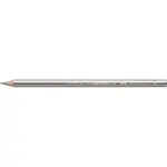Цветен молив за професионалисти Polychromos 251 Silver