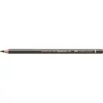Цветен молив за професионалисти Polychromos 275 Warm Grey VI