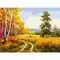 Комплект за рисуване по номера 40x50см, W2637