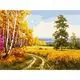 Комплект за рисуване по номера 40x50см, W2637